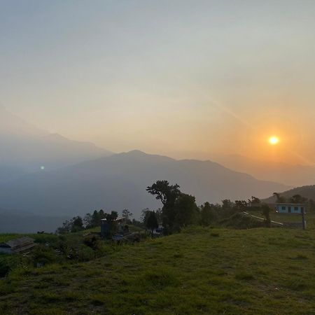 Tranquil Water Guest House Pokhara Bagian luar foto